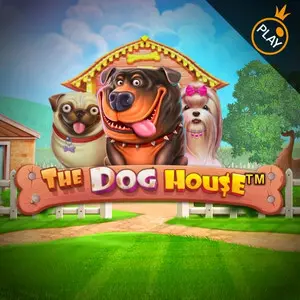 Slot game artwork: The Dog House